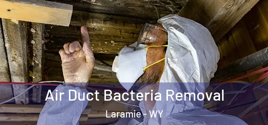  Air Duct Bacteria Removal Laramie - WY