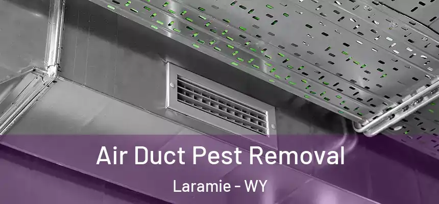 Air Duct Pest Removal Laramie - WY