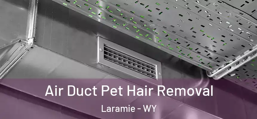  Air Duct Pet Hair Removal Laramie - WY