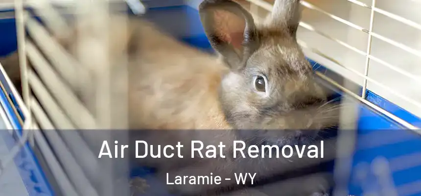 Air Duct Rat Removal Laramie - WY