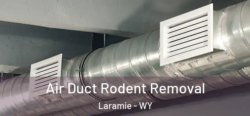  Air Duct Rodent Removal Laramie - WY