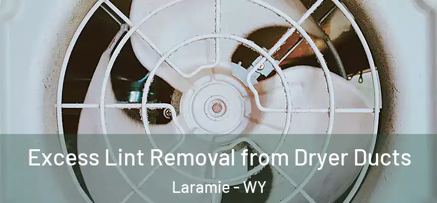  Excess Lint Removal from Dryer Ducts Laramie - WY