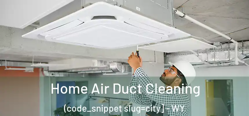  Home Air Duct Cleaning (code_snippet slug=city] - WY