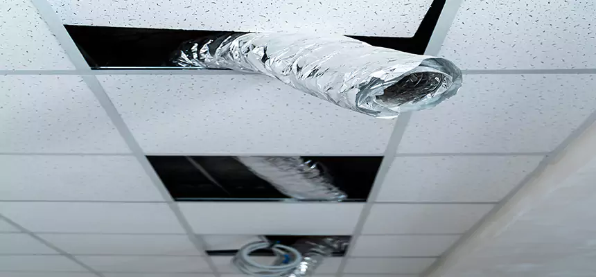 Our Air Duct Pet Hair Removal Services in Laramie, WY