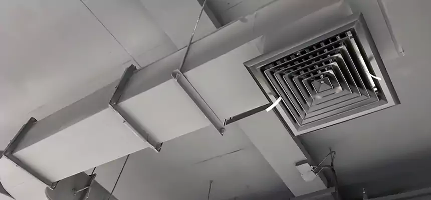 Restorative Allergy Relief Vent Cleaning – Coil, Blower & Housing Detail in Laramie