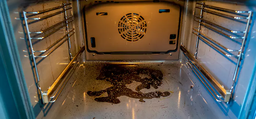 Our Dryer Vent Mold Cleaning Services in Laramie, WY