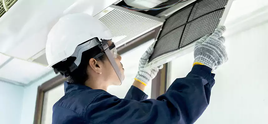 Our Mold & Mildew Removal from Air Ducts Services in Laramie, WY