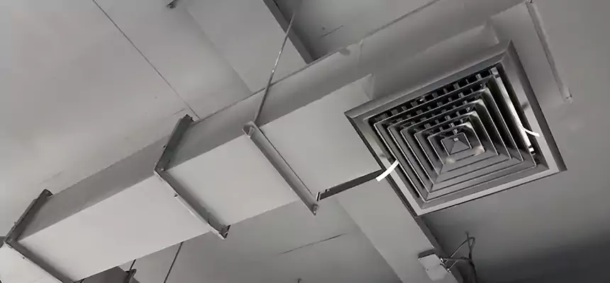 Our Rodent Droppings In Vents Services in Laramie, WY