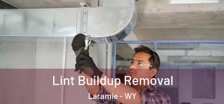 Lint Buildup Removal Laramie - WY