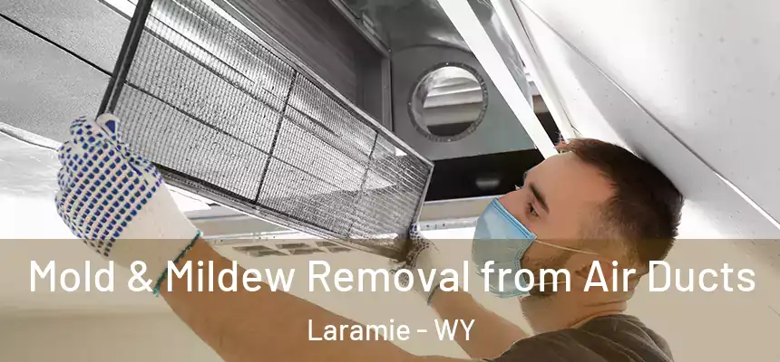  Mold & Mildew Removal from Air Ducts Laramie - WY