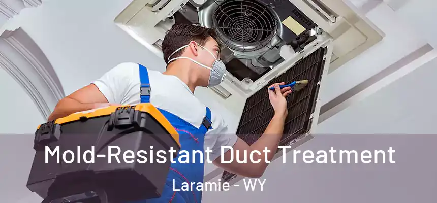  Mold-Resistant Duct Treatment Laramie - WY