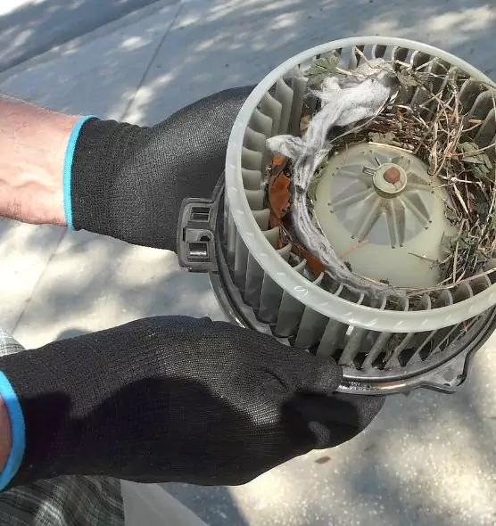 About Air Duct Rat Removal in Laramie, WY