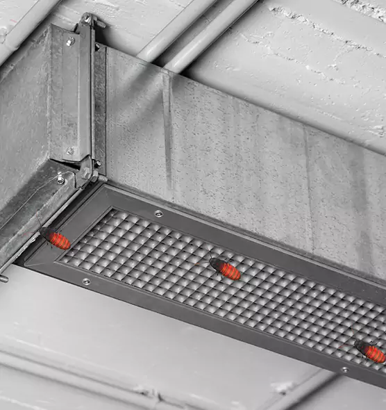 Affordable Insect Removal from Air Ducts in Laramie, WY