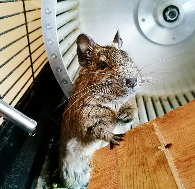 Why Homeowners & Businesses Trust Us Laramie, WY